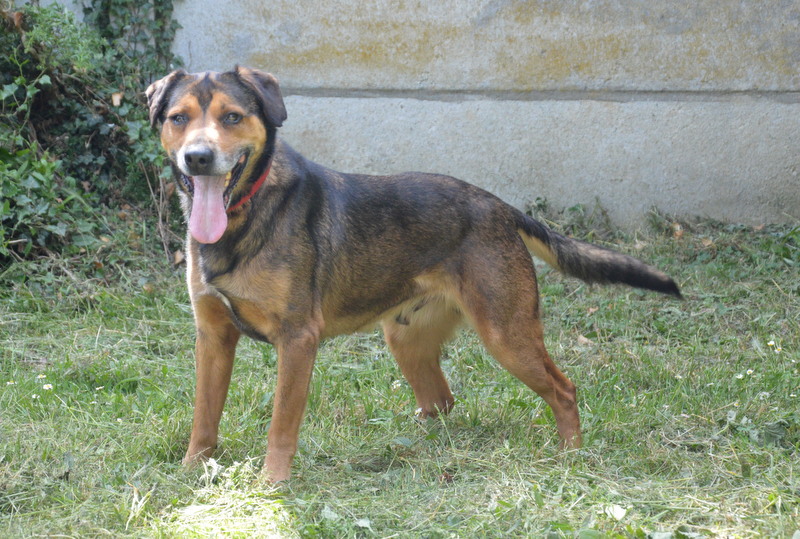 Photo de MaloÏ