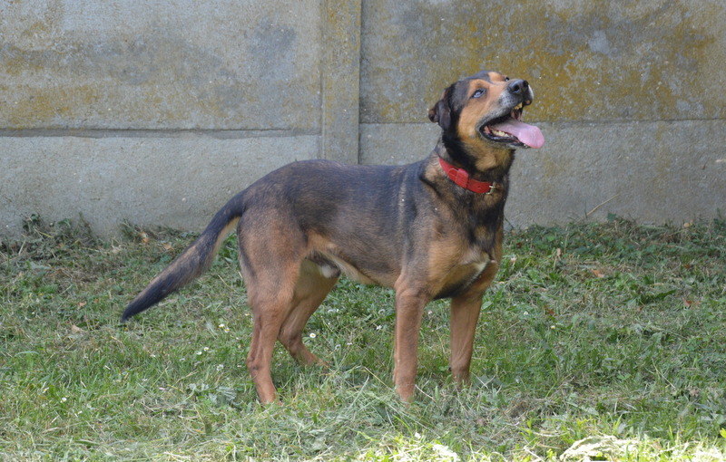 Photo de MaloÏ
