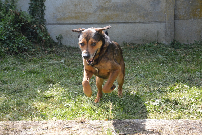 Photo de MaloÏ