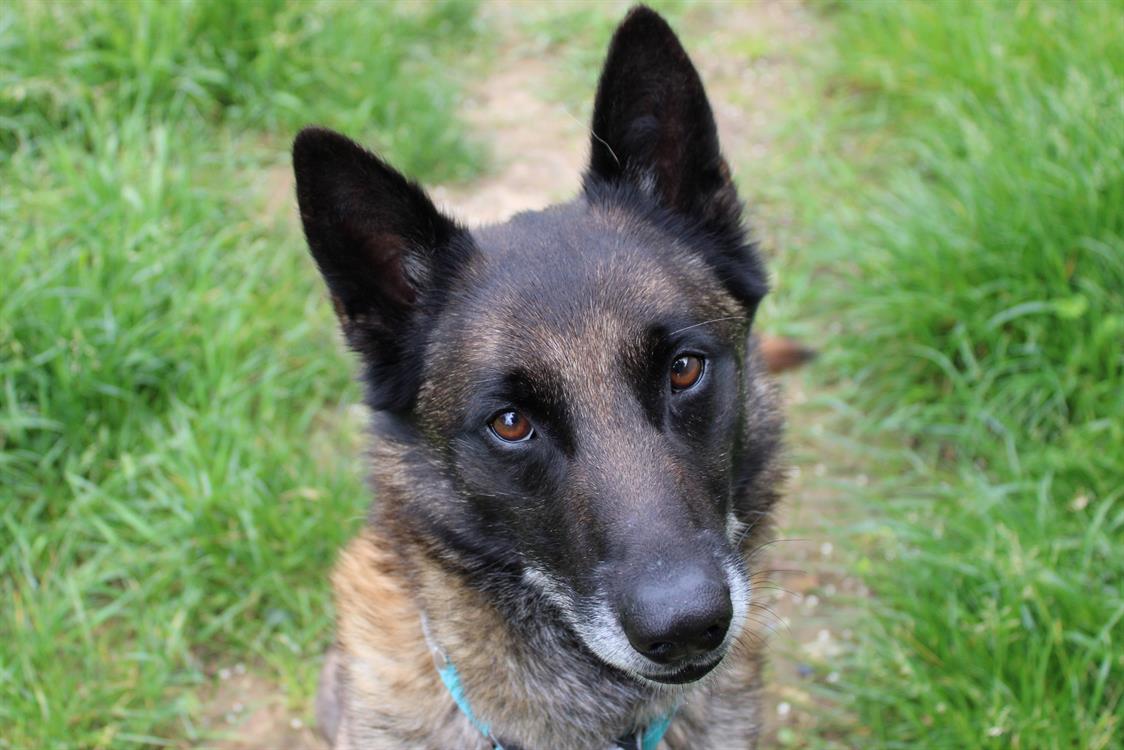 Max