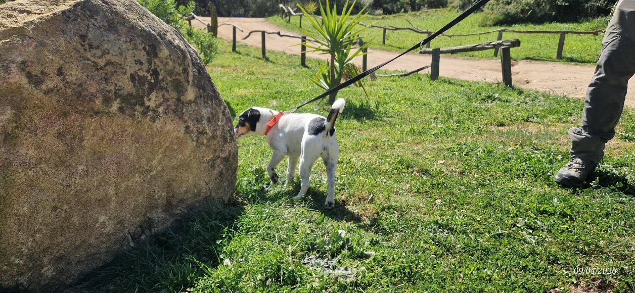 Photo de Missy