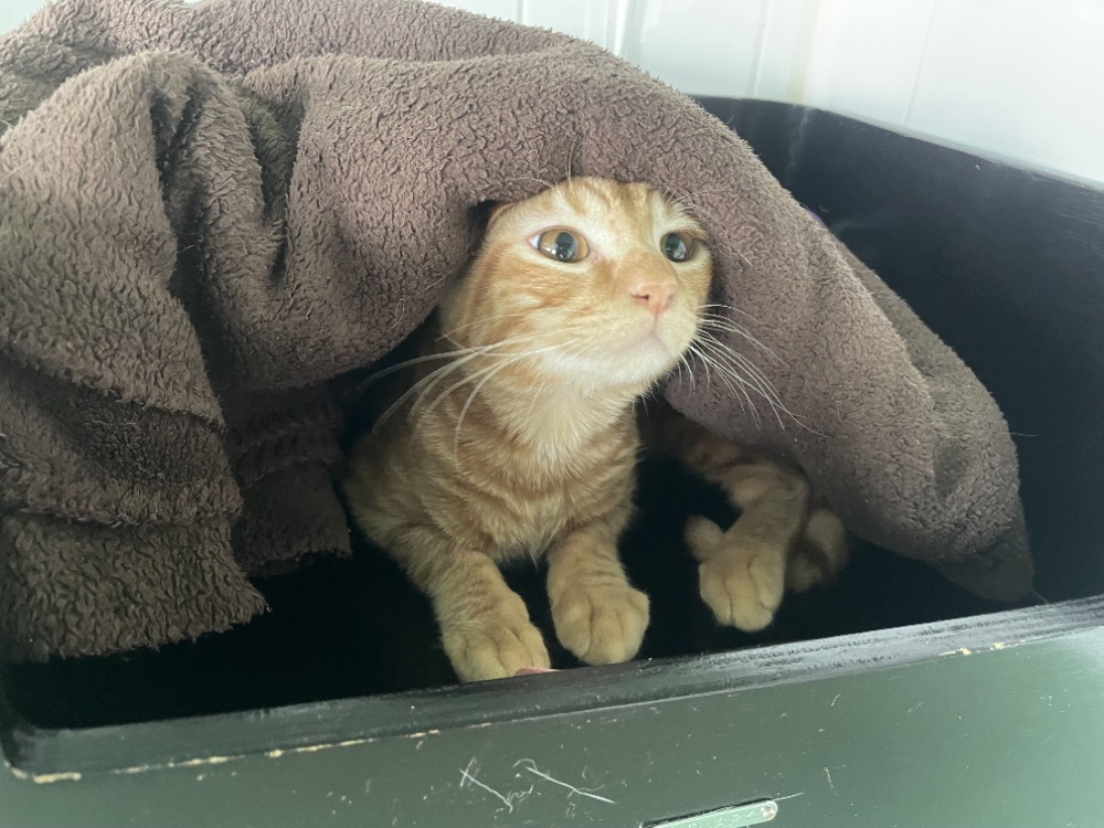 Photo de Moka