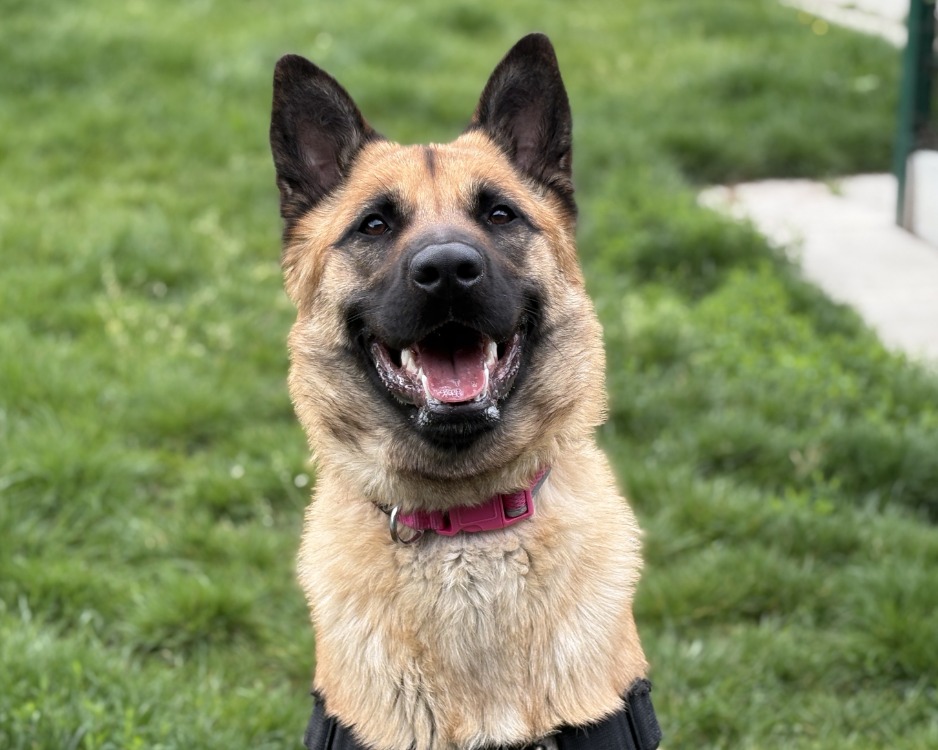 Nala