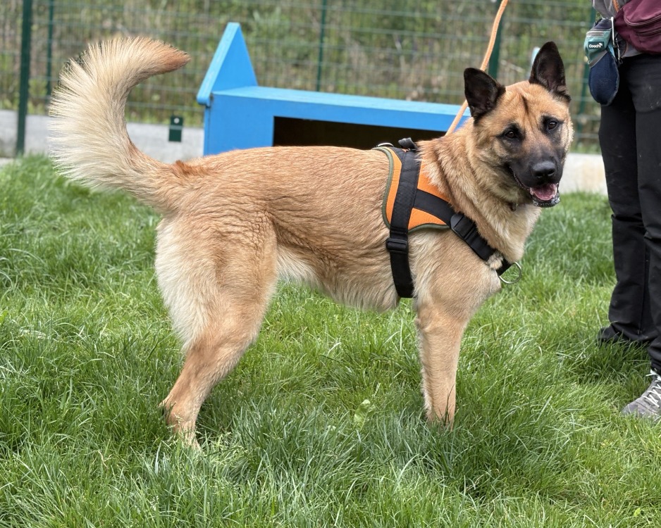Photo de Nala
