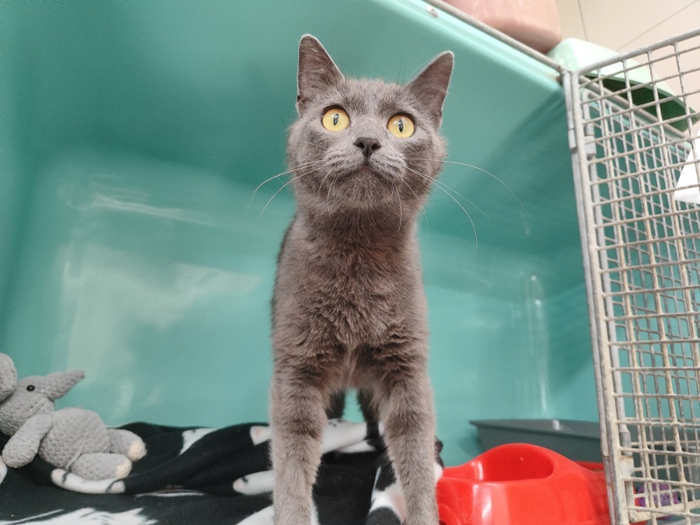 Namie ( en cours d'adoption)