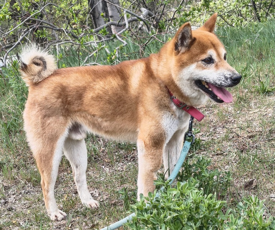 Naoko