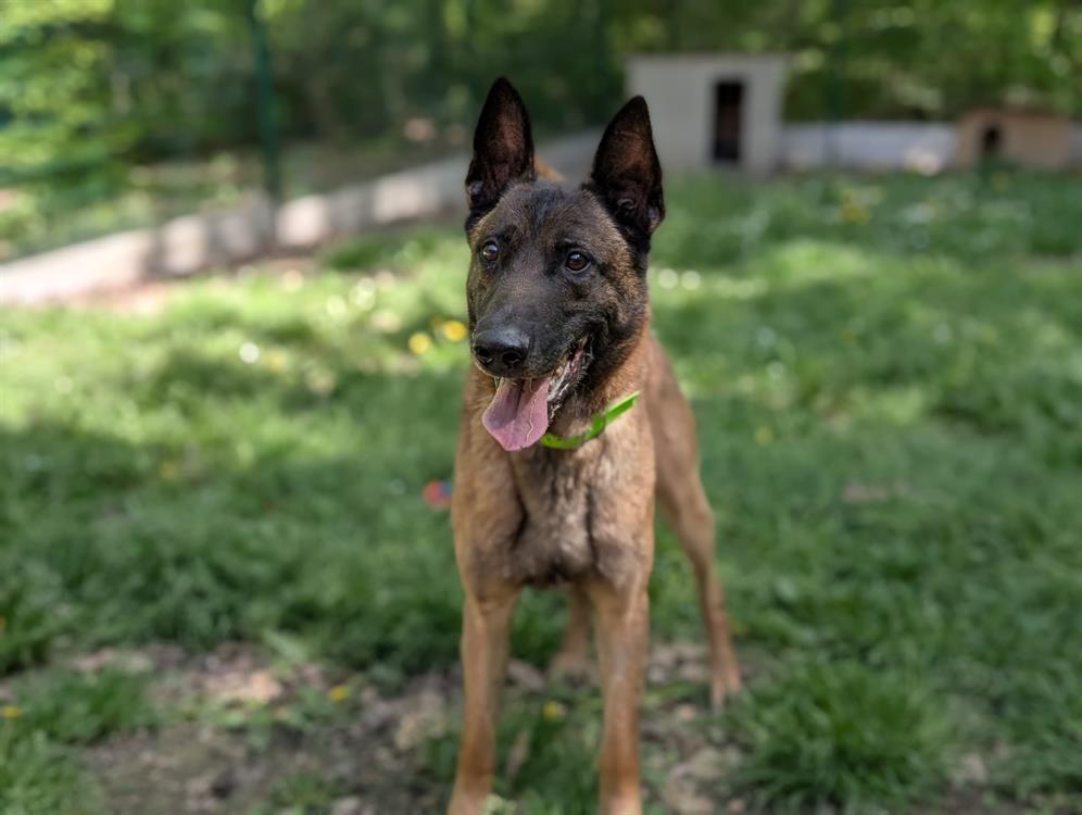 Photo de Olaf