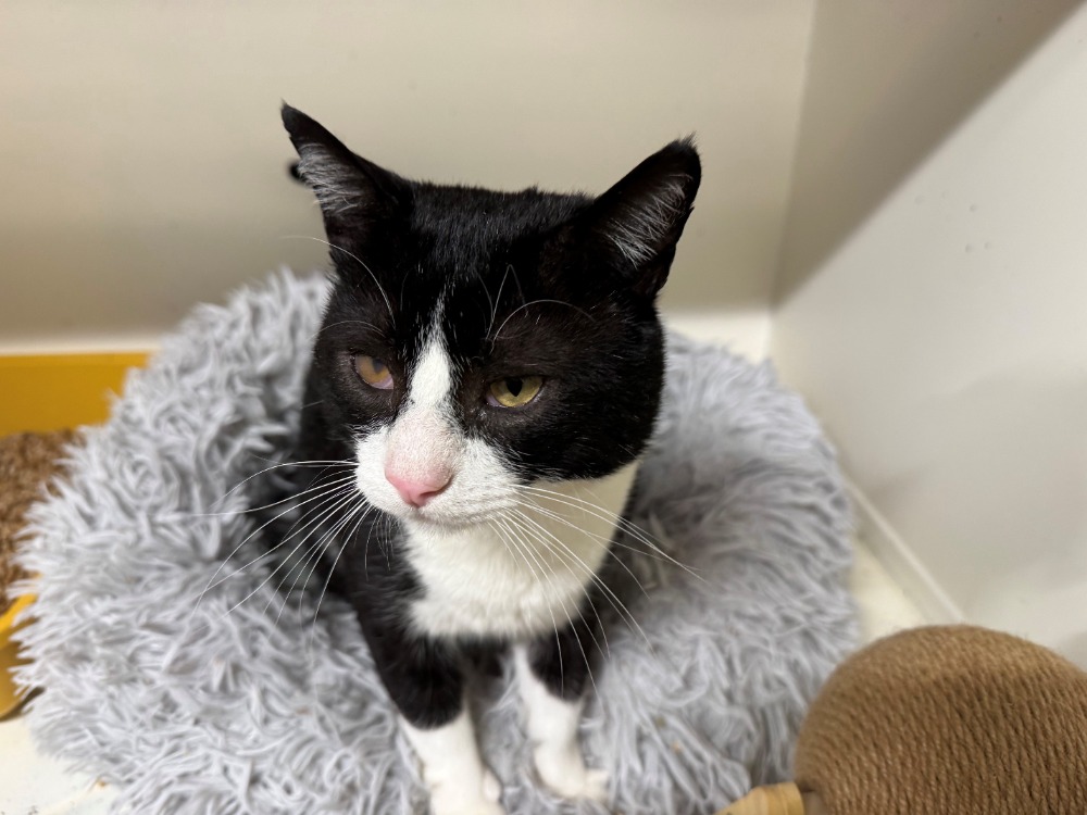 Photo de Oscar a17365