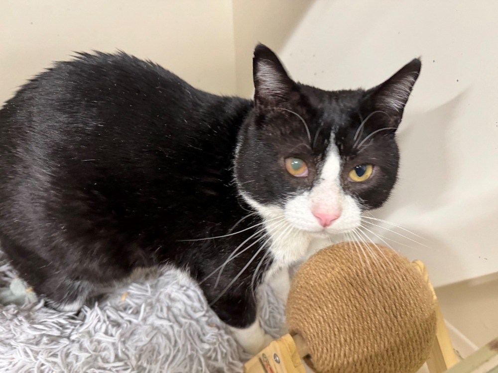 Photo de Oscar a17365
