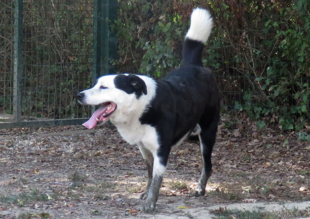 Photo de Petrus