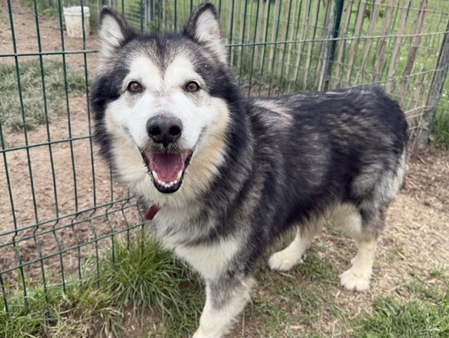Ragnar