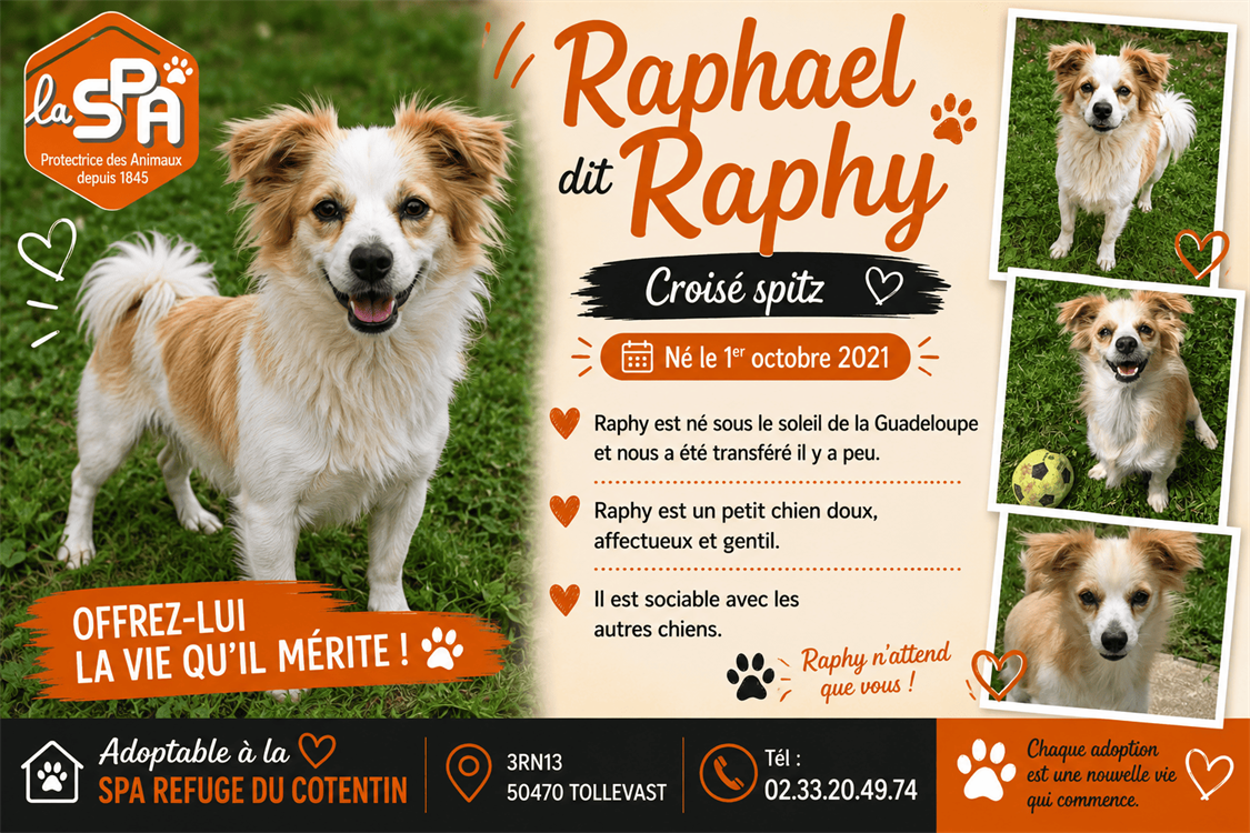 Raphael
