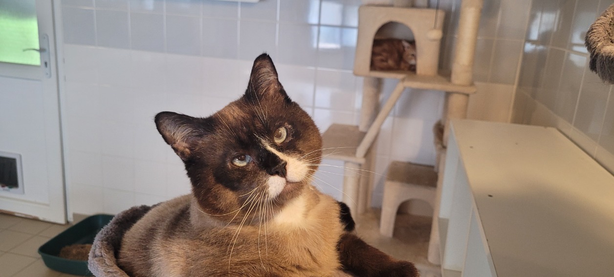 Photo de Rufio