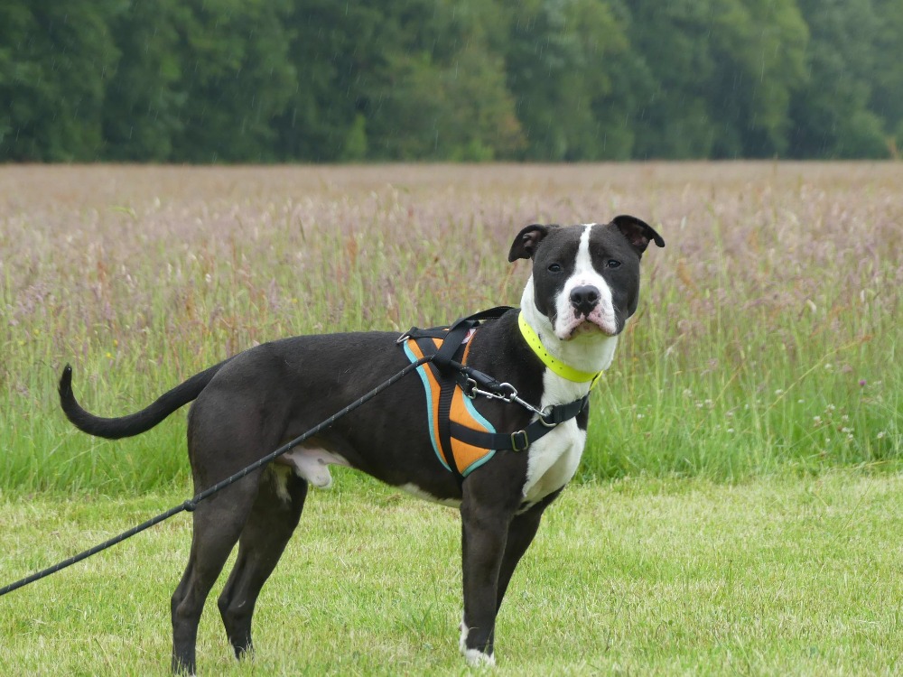 Photo de Spayk