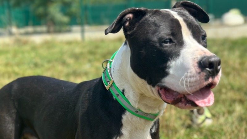Photo de Spayk
