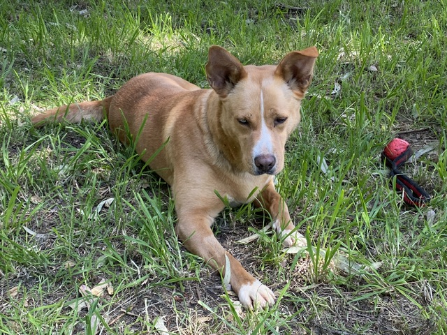 Photo de Stela