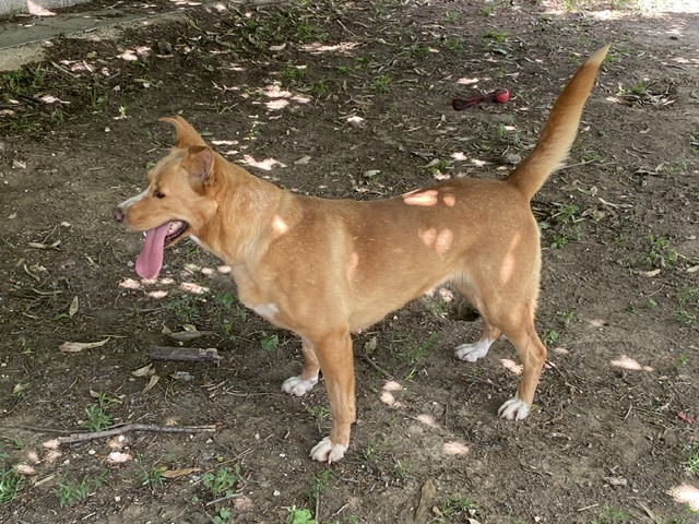 Photo de Stela