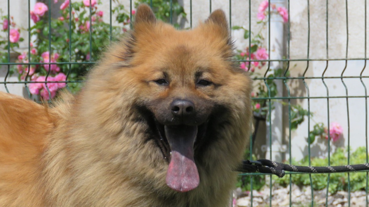 Taiki