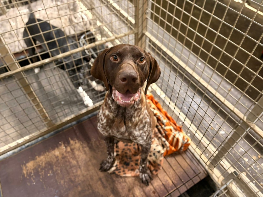 Teiki (en attente de radio)