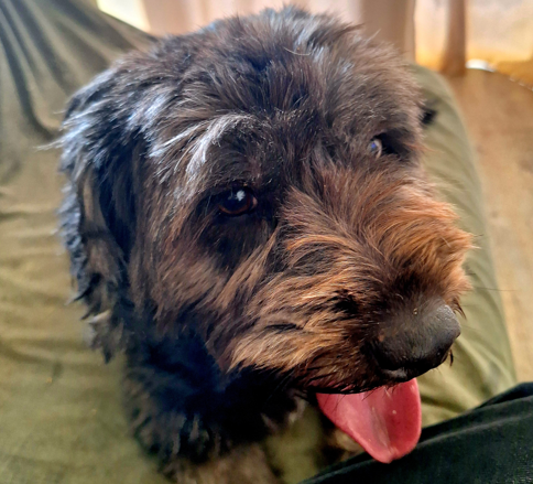 Photo de Tidji