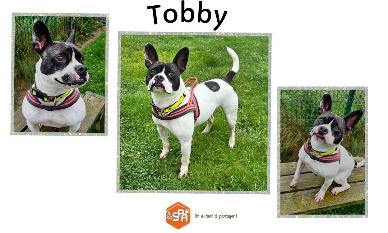 Tobby