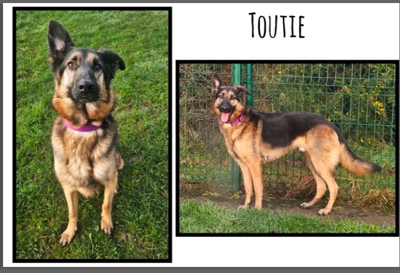 Toutie (réservé)