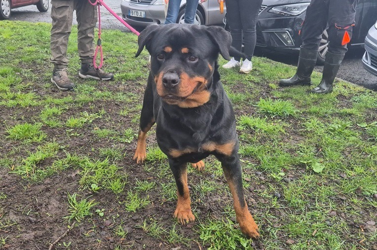 Photo de Tyka