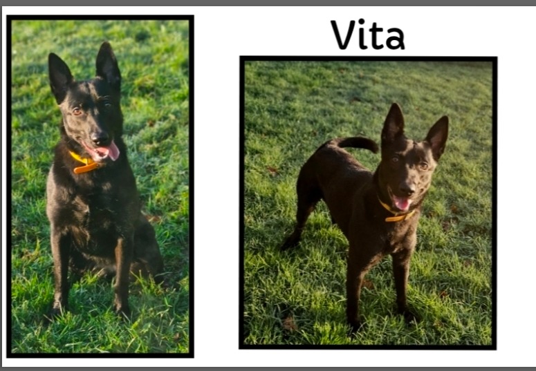 Vita
