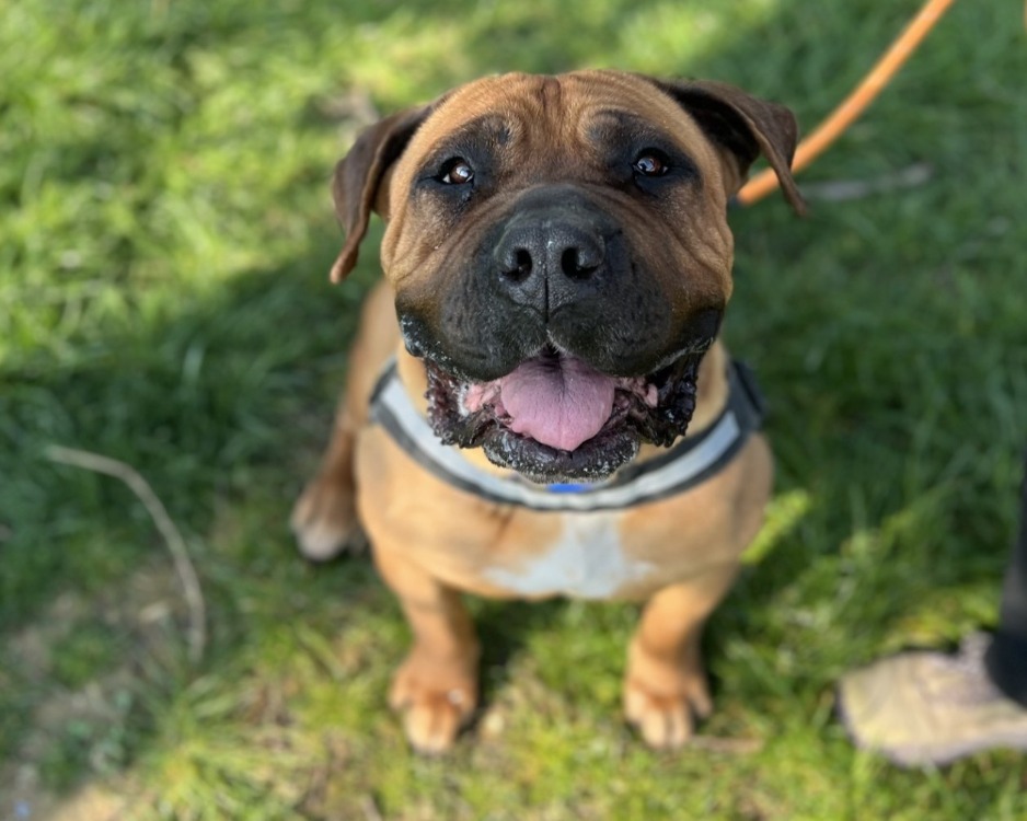 Xena