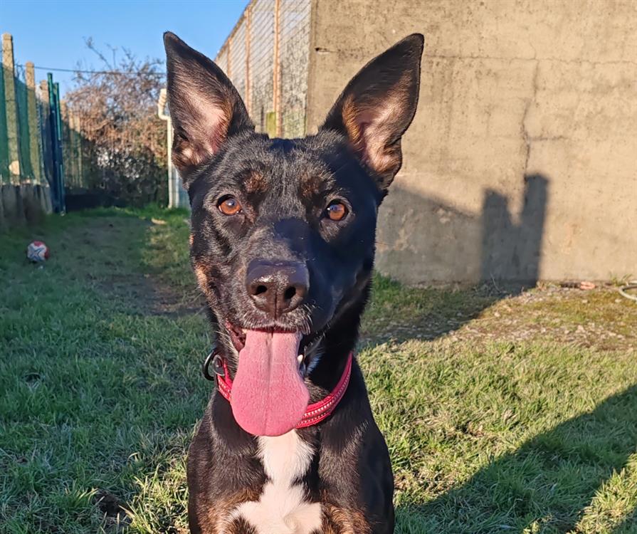 Photo de Xena