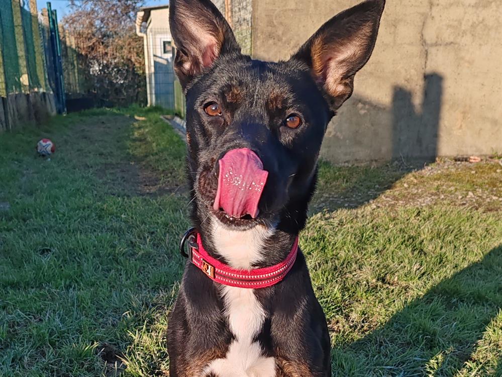 Photo de Xena