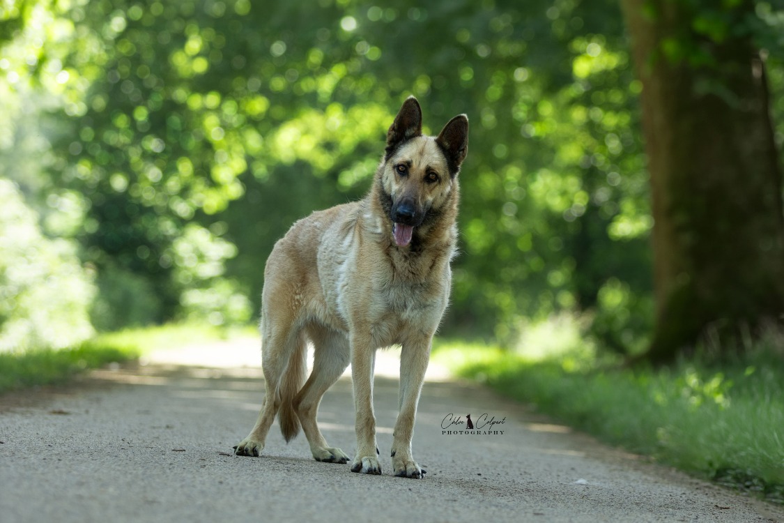 Photo de Xena