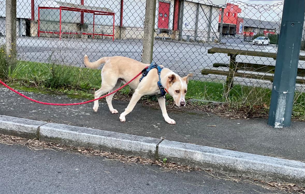Photo de Zeus
