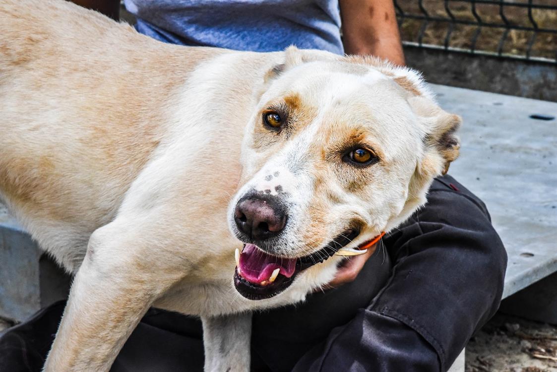 Photo de Zeus