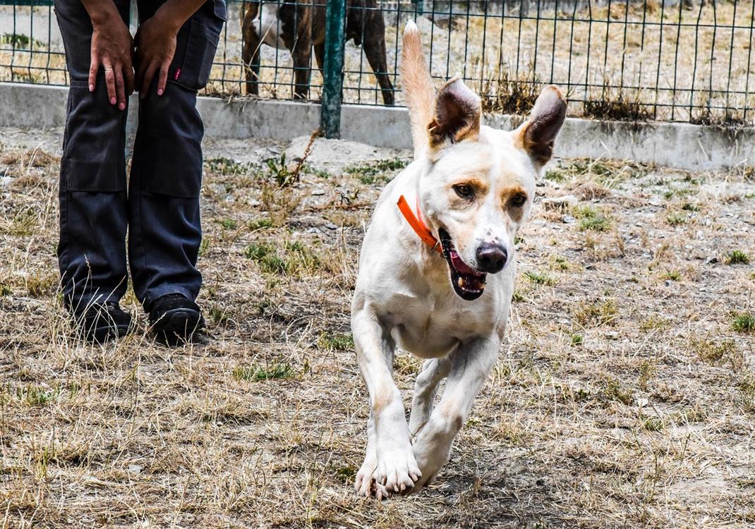 Photo de Zeus