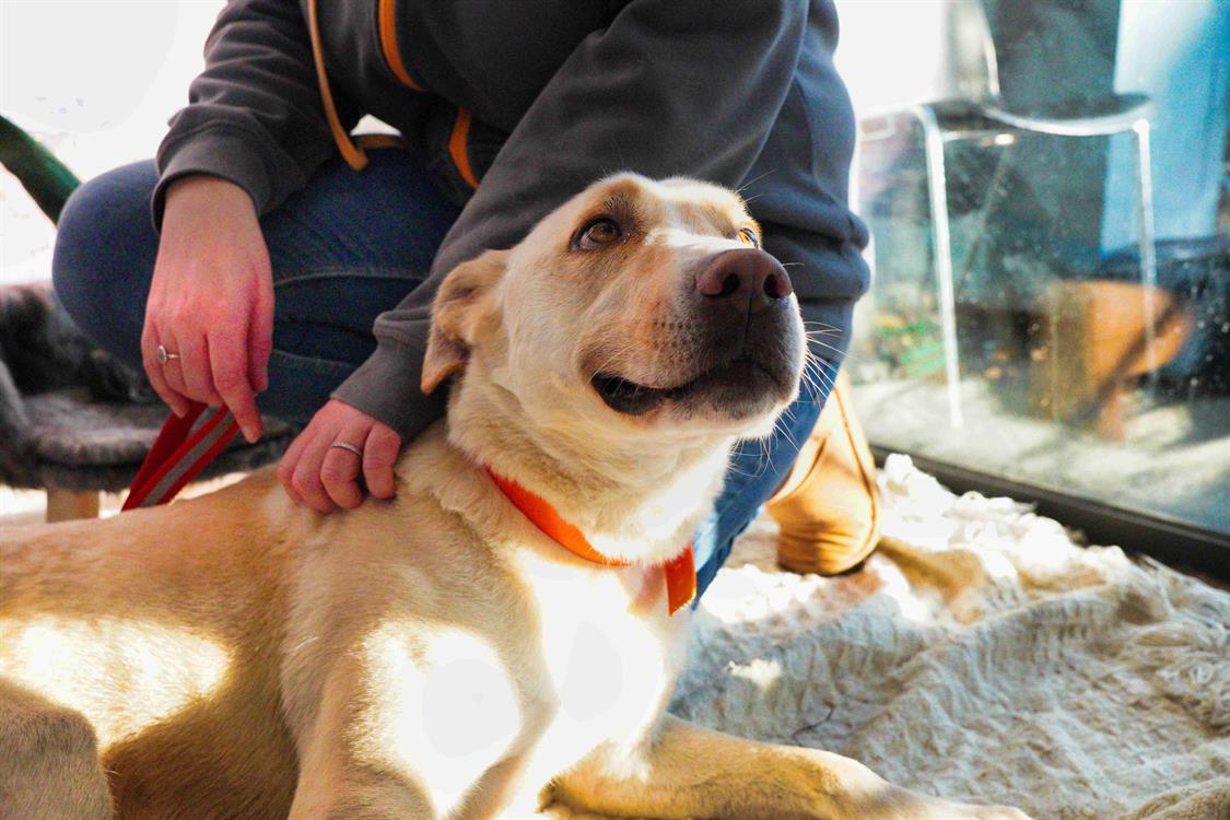 Photo de Zeus