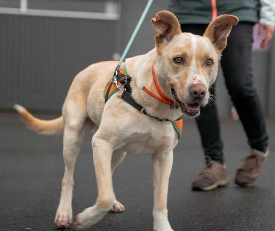 Photo de Zeus